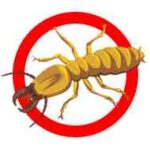 Termite Control Jacksonville FL