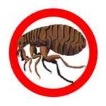 pest control jacksonville fl