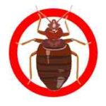 Bug control Jacksonville