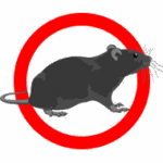 pest control jacksonville fl