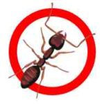pest control jacksonville fl