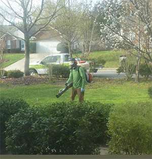 Ant exterminator jacksonville fl
