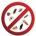 pest control jacksonville fl
